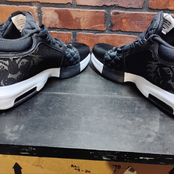 LeBron James witness 8 - Picture 2 of 7